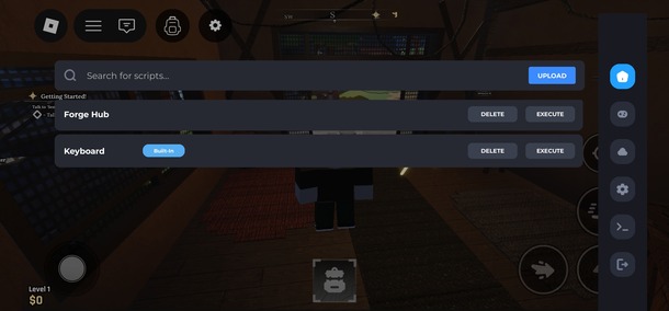 Execute The Forge script